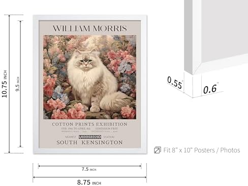 Poster Master Persian Cat Print - Flower Art - Botanical Design - Exhibition Display - Animal Illustration - Floral Cat Painting - Aesthetic Office or Bedroom Decor - 8x10 White Framed