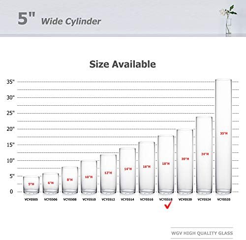 WGV Cylinder Vase, Diameter 5", Height 18", Clear Glass Floral Planter Container, Tall Centerpiece Arrangement for Wedding Party Event Home Office Decor, 1 Piece