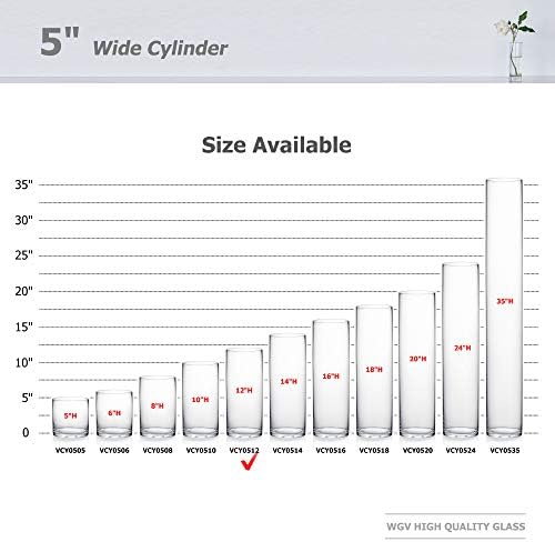 WGV Cylinder Vase Bulk, Diameter 5", Height 12", Clear Glass Floral Planter Container, Tall Centerpiece Arrangement for Wedding Party Event Home Office Decor, 6 Pieces