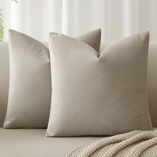 JUSPURBET 26x26 Euro Velvet Throw Pillow Covers Set of 2,Cloud