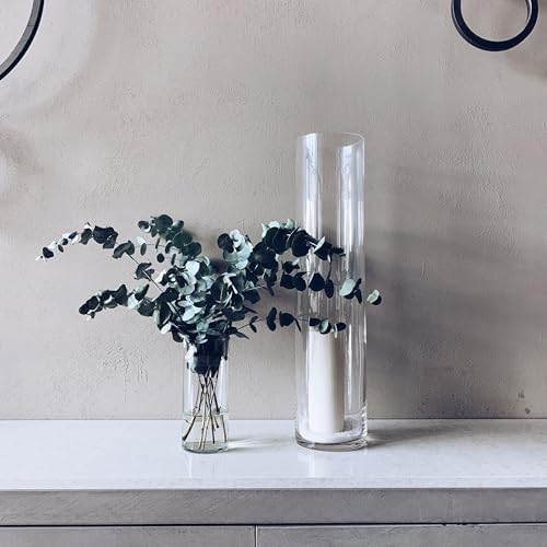 WGVI Quality Thick Clear Cylinder Glass Vases, 3" W x 8" H, Bud Vase Skinny Narrow Floral Bouquet Flower Container for Wedding Centerpieces Tabletop Décor Brush Pen Holder, Bulk Wholesale, 12 Pieces