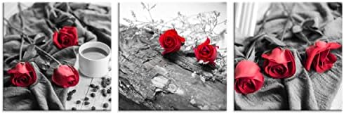 NAN Wind Canvas Print 3 Pcs Black and White Red Rose Canvas Art Painting Abstract Wall Art Decorations Flower Picture on Canvas for Home Decor Stretched and Framed (14X14inchX3pcs, B&w Rose)