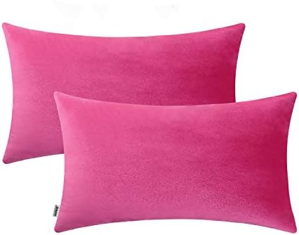 Jeneoo Set of 2 Comfy Soft Velvet Lumbar Throw Pillow Cases for Sofa Couch, Decorative Solid Rectangle Cushion Covers for Bedroom Car (12 x 20 Inches, Hot Pink)