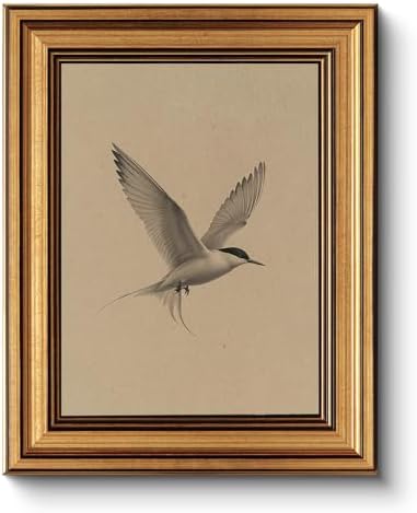 WHASAYART Gold Framed Vintage Wall Art for Living Room, Birds Animals Painting Prints Shelf Decor for Kitchen, Sketch Artwork Aesthetic Bedroom Wall Art, Gifts for Friends or Family - Tern 10L x 8W