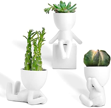 Port&Petal Small Succulent Pots with Drainage (Set of 3) - Ceramic Planters for Live Plants, Air Plants or Fake Plants Decor - Cute Planters for Indoor Decor - Small Pots for Home Office Décor - White