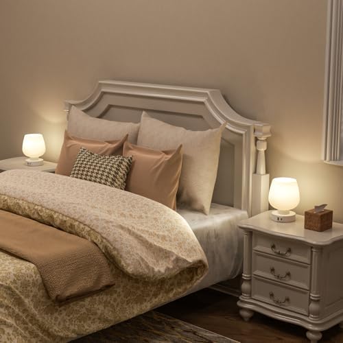 Seealle Touch Table Lamp for Nightstand Set of 2 - Bedside Lamp with USB C+A Charging Ports for Bedroom Living Room Night Stands, Desk Lamp with White Glass Shade for Small Spaces, 3 Way Dimmable