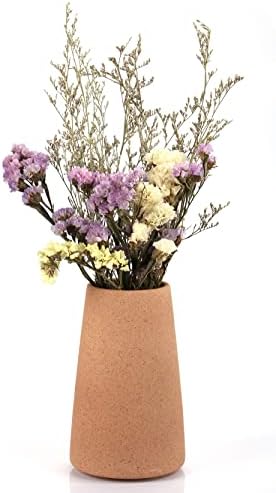 Simple Vase for Flowers Plants, Matte Vases for Modern Table Shelf Home Decor Wedding Boho Decor, 6" H Frosted Elegant Ceramic Vase for Pampas Grass Fluffy Stem Bouquet Lavender Flowers (Brown, 1)