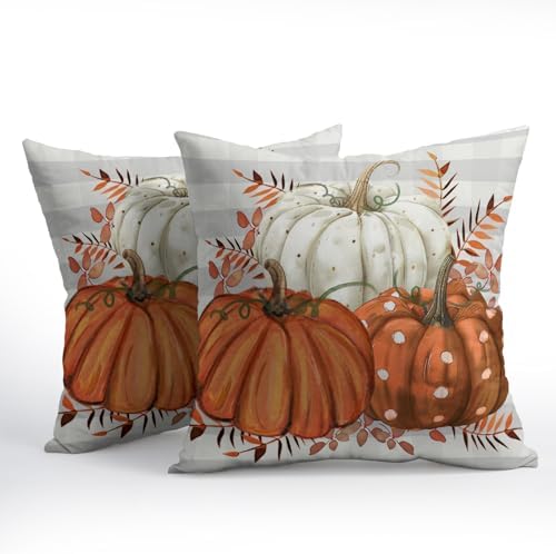 Fall Pumpkins Outdoor Pillows 18x18 Inch Set of 2 Autumn Harvest Pumpkin Pillowcase Buffalo Plaid Maple Leaves Decorative Throw Cushion Cover for Thanksgiving Seasonal Home Couch Porch Patio Decor