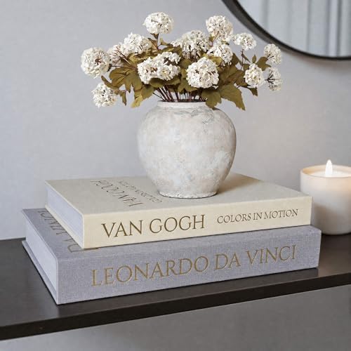 MAOBUYOU Decorative Linen Book Set of 2, Faux Book Storage Box, Coffee Table and Bookshelf Decor