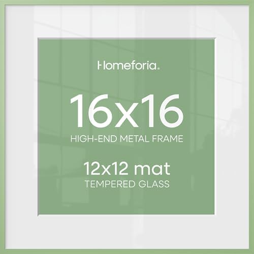 Homeforia 16x16 Green Picture Frame, High-End Metal, 12x12 Mat, Glass