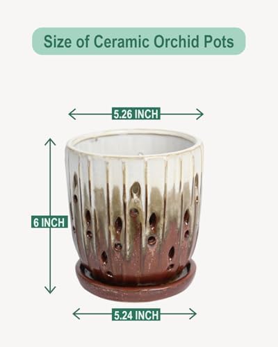 vensovo 6 Inch Ceramic Orchid Pot with Holes and Saucer, Brown Planter