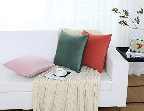 Jeneoo Fall Velvet Throw Pillow Covers 16x16 Inch 2 Pack, Super Soft Thick Decorative Square Cushion Cases for Sofa Couch Bedroom Car, Orange Yellow