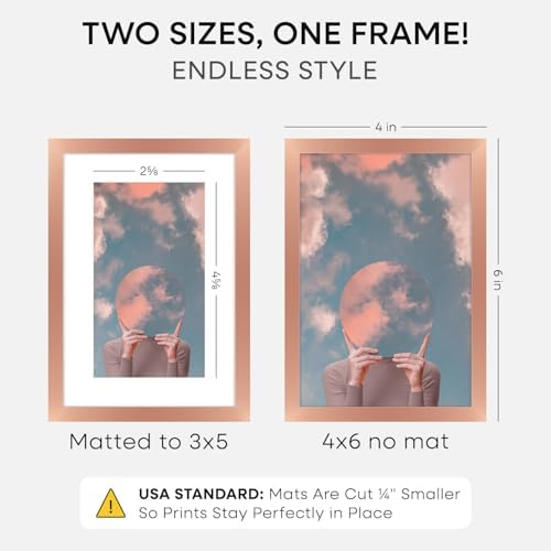 Homeforia 4x6 Rose Picture Frame, High-End Metal, 3x5 Mat, Glass