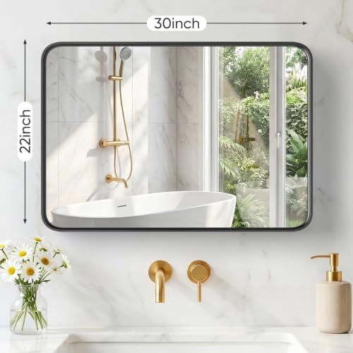NEWBULIG 22"x30" Wall Mirror, Bathroom Mirrors for Over Sink, Black | Matte Metal Framed Vanity Mirror with Tempered Glass, Entryway, Living Room, Bedroom