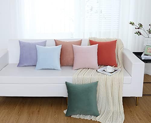 Jeneoo Set of 2 Comfy Soft Thick Velvet Throw Pillow Covers for Sofa Couch, Decorative Solid Square Cushion Cases for Living Room Car (20 x 20 Inches, Terracotta)