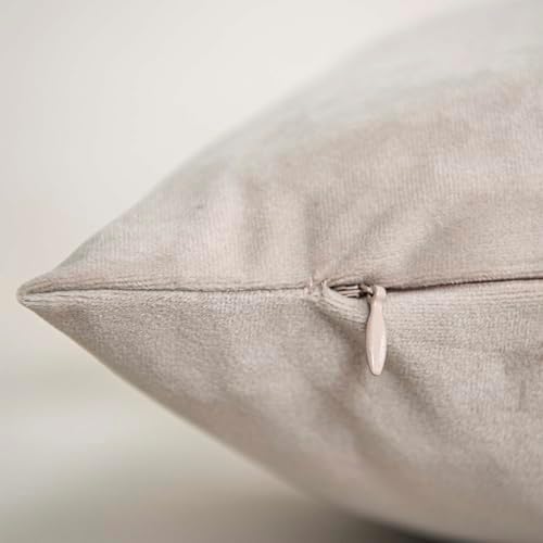 Cashmere Decorative Lumbar Velvet Throw Pillow Covers 16x24 inch Set of 2 with Zipper Luxury Soft Solid Rectangle Cushion Covers Case for Sofa Couch Bed Living Room