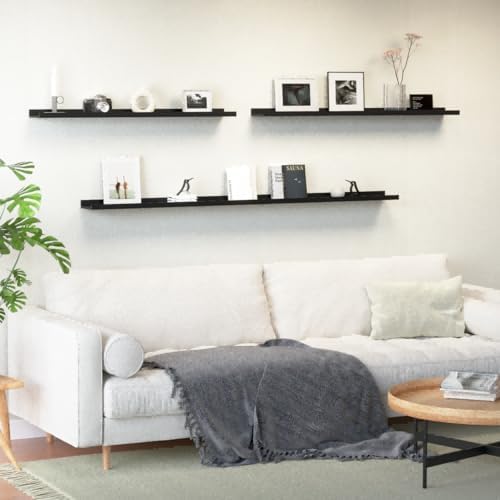 Boswillon Floating Shelves Set of 2, Long Wall Shelf with Lip, 56in, Black