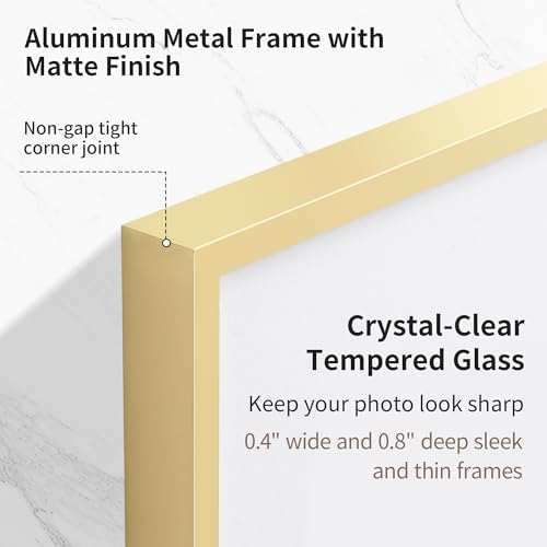 Fun Memories 19x25 Metal Picture Frame - High End Aluminum Frames with Real Glass for Diplomas, Certificates, and Wall Art, Mounts Horizontally or Vertically, Gold, 1 Pack