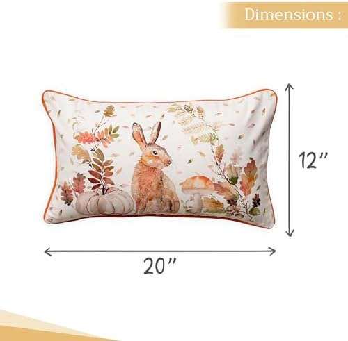 Maison d' Hermine Throw Pillow Covers 100% Cotton (12" x 20" - Pack of 1)