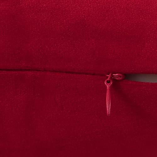 Jeneoo Set of 2 Comfy Soft Velvet Lumbar Sofa Throw Pillow Covers Decorative Solid Cushion Couch Cases (12 x 20 Inches, Santa Red)