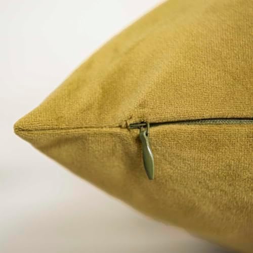 Olive Green Decorative Velvet Throw Pillow Covers 18x18 inch Set of 2 with Zipper Luxury Soft Solid Square Cushion Covers Case for Sofa Couch Bed Living Room