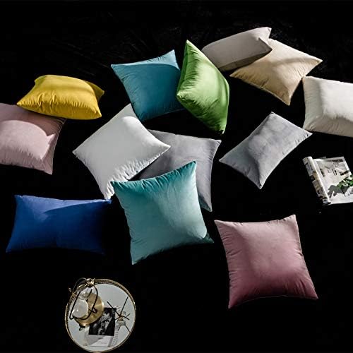 JUSPURBET Decorative Velvet Throw Pillow Covers 18x18 Set of 2,Silver Gray