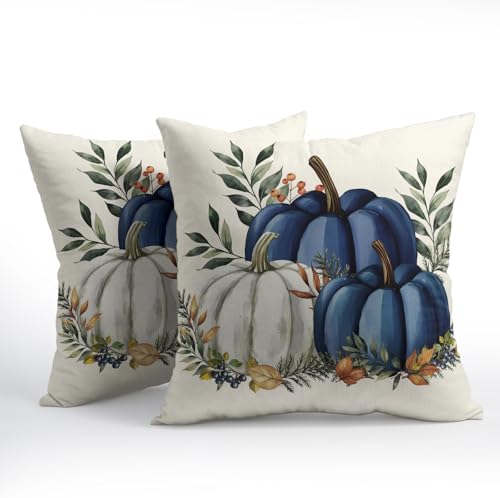 Pumpkins Throw Pillow Covers 24x24 inch 2 Packs Fall Blue and White Pumpkin Pillowcase Autumn Thanksgiving Vintage Outdoor Decorations Cotton Linen Cushion Cover for Home Bedroom Sofa Chair