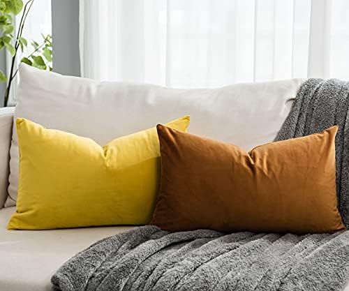 Lemon Decorative Lumbar Velvet Throw Pillow Covers 12x20 inch Set of 2 with Zipper Luxury Soft Solid Rectangle Cushion Covers Case for Sofa Couch Bed Living Room