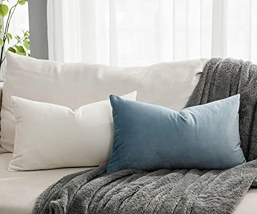 Light Blue Decorative Lumbar Velvet Throw Pillow Covers 12x20 inch Set of 2 with Zipper Luxury Soft Solid Rectangle Cushion Covers Case for Sofa Couch Bed Living Room