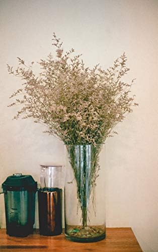 WGV Cylinder Vase, Diameter 5", Height 10", Clear Glass Floral Planter Container, Floating Candle Holder for Wedding Party Event Home Office Decor, 1 Piece