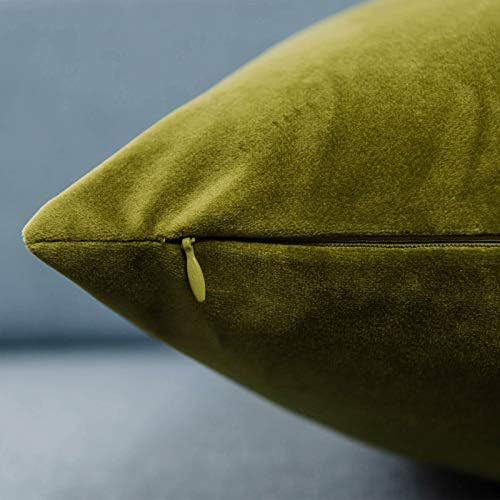 JUSPURBET 28x28 Euro Velvet Throw Pillow Covers Set of 2,Olive Green