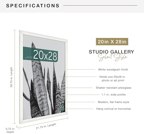 MCS Studio Gallery Poster Frame, 20x28, Natural Woodgrain, 2-Pack
