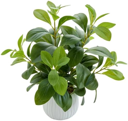 AlphaAcc Small Fake Plants Indoor for Office Bathroom Shelf Decor