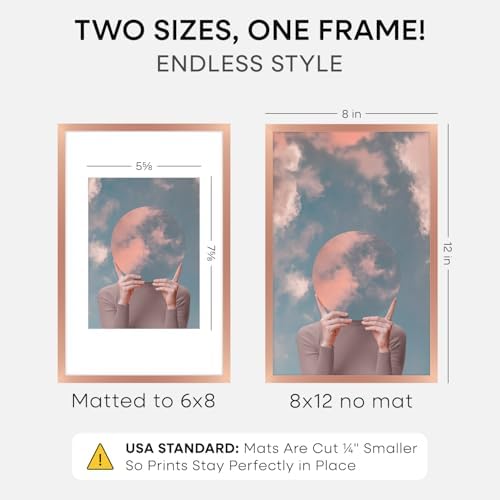 Homeforia 8x12 Rose Picture Frame, High-End Metal, 6x8 Mat, Glass
