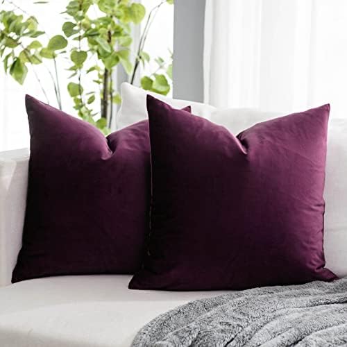 Eggplant Purple Couch Velvet Throw Pillow Covers 18x18 inch Set of 2 with Zipper Decorative Luxury Soft Solid Rectangle Cushion Covers Case for Sofa Bed Living Room Car