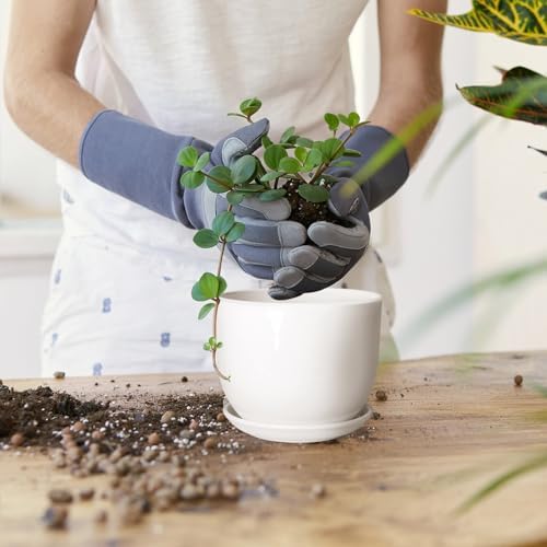 Ceramic Plant Pots,White 5.5 Inch Flower Pots for Plants,Ceramic Planter with Drainage Holes,Indoor Planter Pots with Saucer,Outdoor Garden Pots (White, 4 Pack)