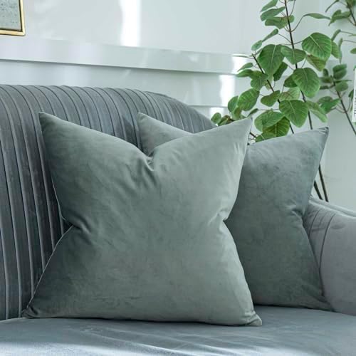 Eucalyptus Velvet Throw Pillow Covers 28x28 Inch Set of 2 with Zipper