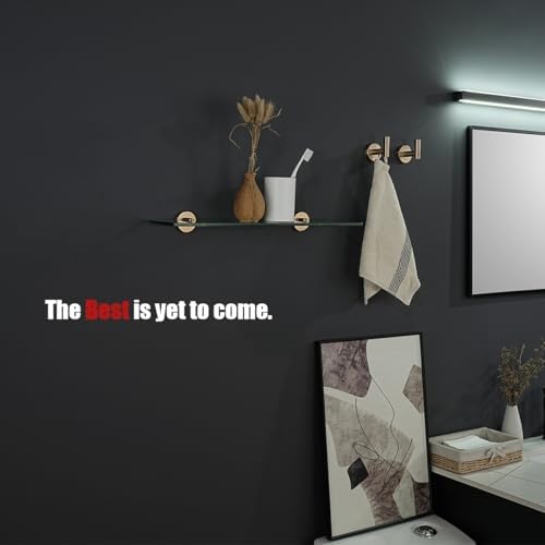 JQK Bathroom Glass Shelf, Tempered Glass Shower Storage 20 by 5 inches, 304 Stainless Steel Champagne Bronze Wall Mount, TGS101L20-CB