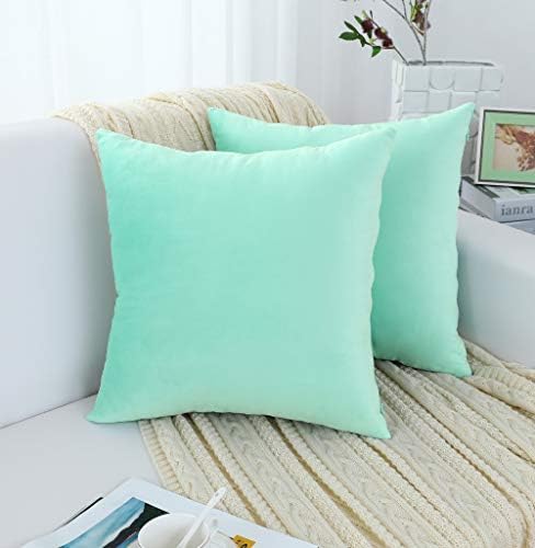 Jeneoo Comfy Soft Thick Velvet Throw Pillow Covers Decorative Solid Square Couch Cushion Cases for Bedroom Sofa Car Decor (Mint Green, 18 x 18 Inches, 2 Pieces)