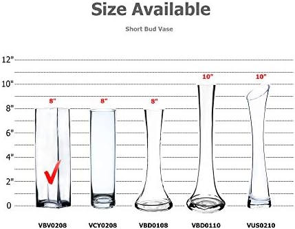 WGV Square Block Bud Vase Bulk, Width 2", Height 8", Clear Skinny Narrow Standard Floral Container Centerpiece for Wedding Party Event Home Office Decor, 24 Pieces