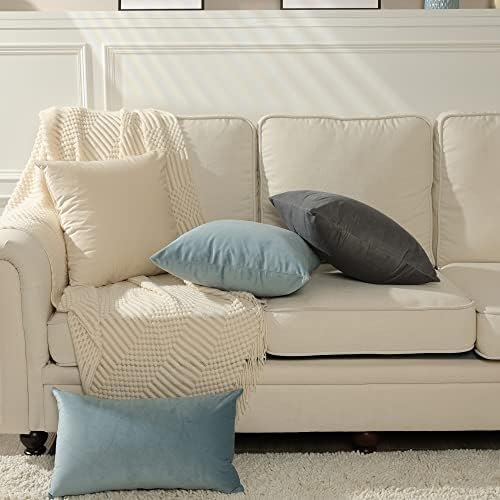 Stellhome Pack of 2 Cozy Velvet Pillow Covers Square Decorative Cushion Covers for Bed Couch Sofa Bench, 22 x 22 inch (55 x 55 cm), Silver Blue