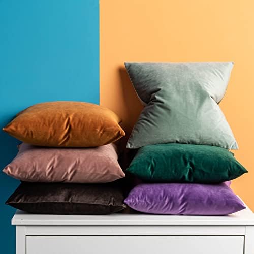 JUSPURBET 28x28 Euro Velvet Throw Pillow Covers Set of 2,Jam