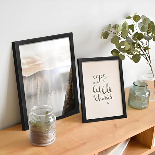 VIOLABBEY 12x18 Poster Frame Set of 5, Fit 11x17 Pictures with Mat, Black