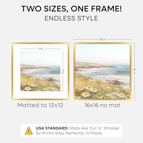 Homeforia 16x16 Gold Picture Frame, High-End Metal, 12x12 Mat, Glass