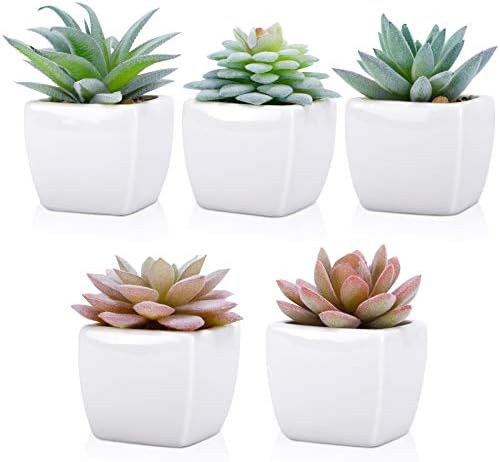 FUNARTY 5pcs Artificial Succulent Plants, Small Fake Desk Plants Mini Succulents Indoor for Shelf Living Room Bedroom Windowsills Office Home Decoration (Include White Ceramic Pots)