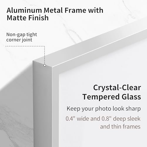 Fun Memories 20x26 Picture Frame, 20 x 26 Metal Poster Frame with Mat for 14x22 Photo - HD Tempered Glass - Vertical and Horizontal Display-1 Pack - Silver