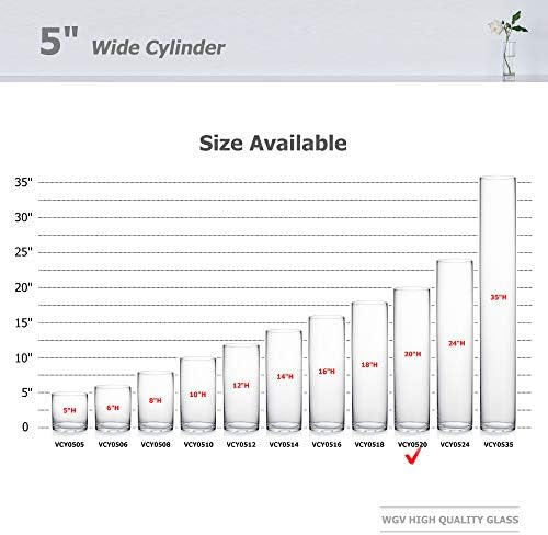 WGV Cylinder Vase, Diameter 5", Height 20", Clear Glass Floral Planter Container, Tall Centerpiece Arrangement for Wedding Party Event Home Office Decor, 1 Piece