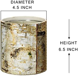 Serene Spaces Living Large White Birch Bark Vase with Glass Interior, Decorative Centerpiece, Rustic Accent Piece, Ideal for Natural Wedding Tablescape, Vintage Home Decor, 4.5" Diameter & 6.5" Tall