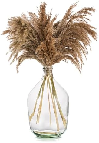 Glasseam Large Demijohn Clear Glass Vase for Pampas Grass, 15 Inch Tall | Oversized Big Jug Vase for Eucalyptus Branches, Greenery, Flowers, Farmhouse Decor, Living Room Home Decorations