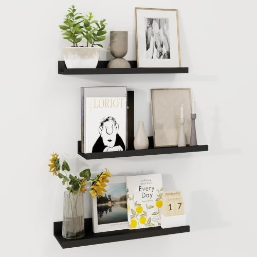 Axeman 20 Inch Floating Shelves, Black Picture Ledge Shelf Set of 3